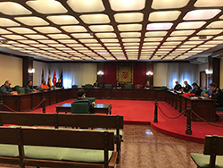 Pleno gabinete de crisis p