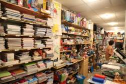 visita libreria El Gnomo Sabio (10)