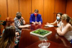 Reunión con AFINSYFACRO - julio 2022