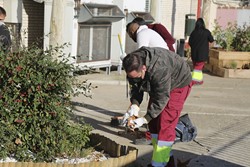 visita centro programa de Alternancia de formación y empleo 1