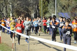 CROSS COLEGIOS 5