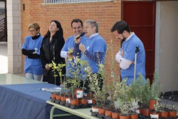 Día Árbol CEIP Villamil 2