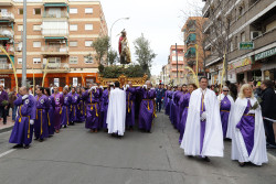Domingo de Ramos 9