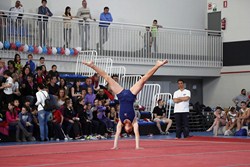 Centro Deportivo Rafa Martínez 13