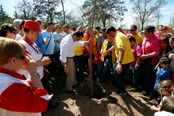 Día Árbol Peñas_2