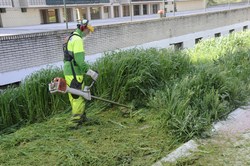 Desbroce de terrizos