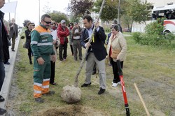 Un arbol por el Parkinson 1