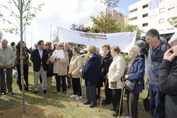 Un arbol por el Parkinson 7