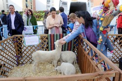 Granja animales Pza. España 8