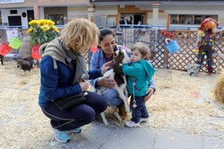 Granja animales Pza. España 12
