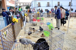 Granja animales Pza. España 18