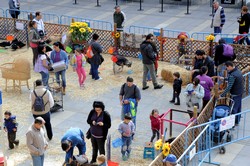 Granja animales Pza. España 21
