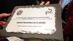 Titulo Honorífico 1P