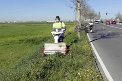 campaña de revisión y mejora de los parques y jardines 1