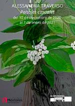 ALESSANDRA TRAVERSO Paisajes casuales peq