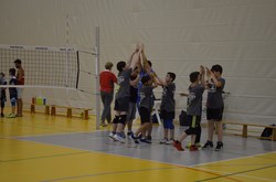 Voleibol 1