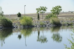 parque Nelson Mandela 1