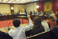 Consejo de los Niños 519