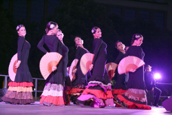 homenaje Paco de Lucia (62)p