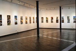 EXPO LOS CAPRICHOS 1