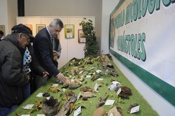 Expo Micologica 9