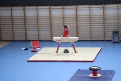 Liga municipal gimnasia artística 1