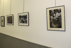 Premios fotos fiestas 1