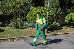 Nuevo contrato limpieza (1)