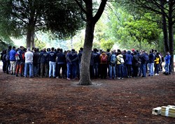 visita plantacion arboles 1