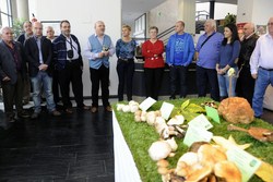 Jornadas Micológicas 4