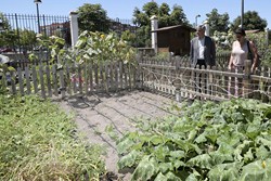 Visita Huertos municipales ecologicos 1