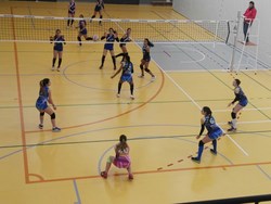 voleibol