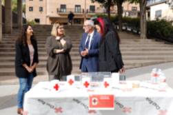 cruz roja banderita (1)