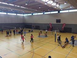Torneo de Reyes de Voleibol