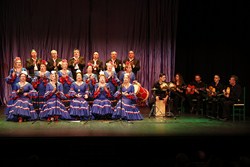 Festival Día Andalucía 8