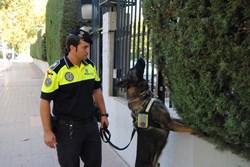 Policia Municipal 3