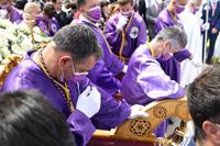 procesion del encuentro (23)