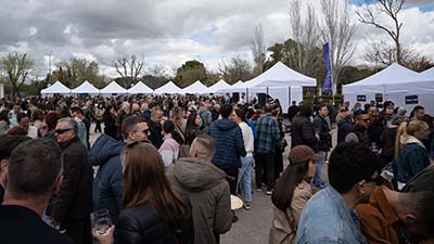 destacada Feria del Vino y del Producto Local de Móstoles (1) copia