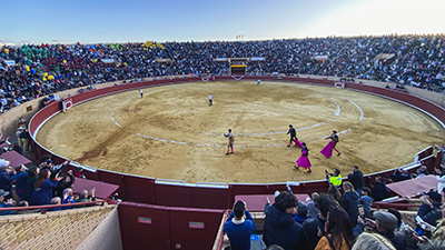 destacada Más de 5.000 personas llenan este domingo la plaza de toros de Móstoles
