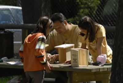 destacada seobirdlife