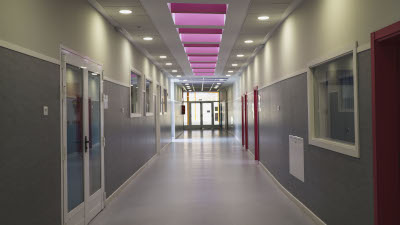 destacada CEIP Maruja Mallo (5)