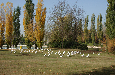destacada Parque El Soto Móstoles