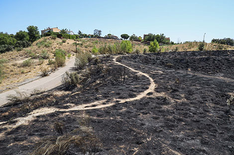 destacada Nuevo plan integral de prevención de incendios (2) copia