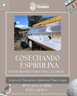 Coscechando Espirulina