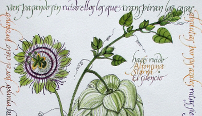 destacada Tarjetón Carmen Tena