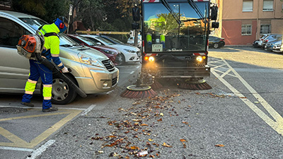 Destacada campaña de recogida de hojas en la vía pública en Móstoles (1) copia