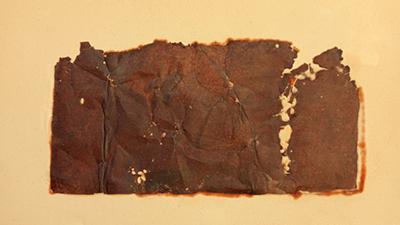 destacada Tarjetón Diego Arribas copia