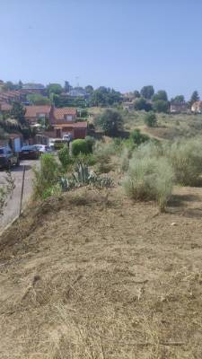 Trabajos de desbroce en Parque Coimbra-Guadarrama para prevenir incendios (1)