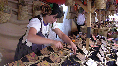 destacada Mercado Goyesco copia