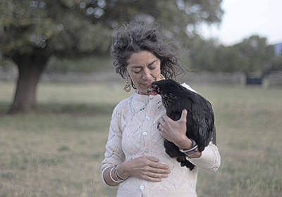 destacada Todo Lo Que Cambia - Sierra de Guadarrama, Madrid, Spain